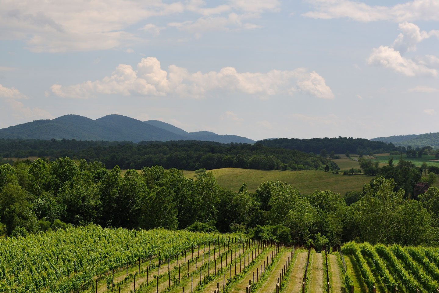 Waynesboro VA Real Estate Westhills LTD Realtors